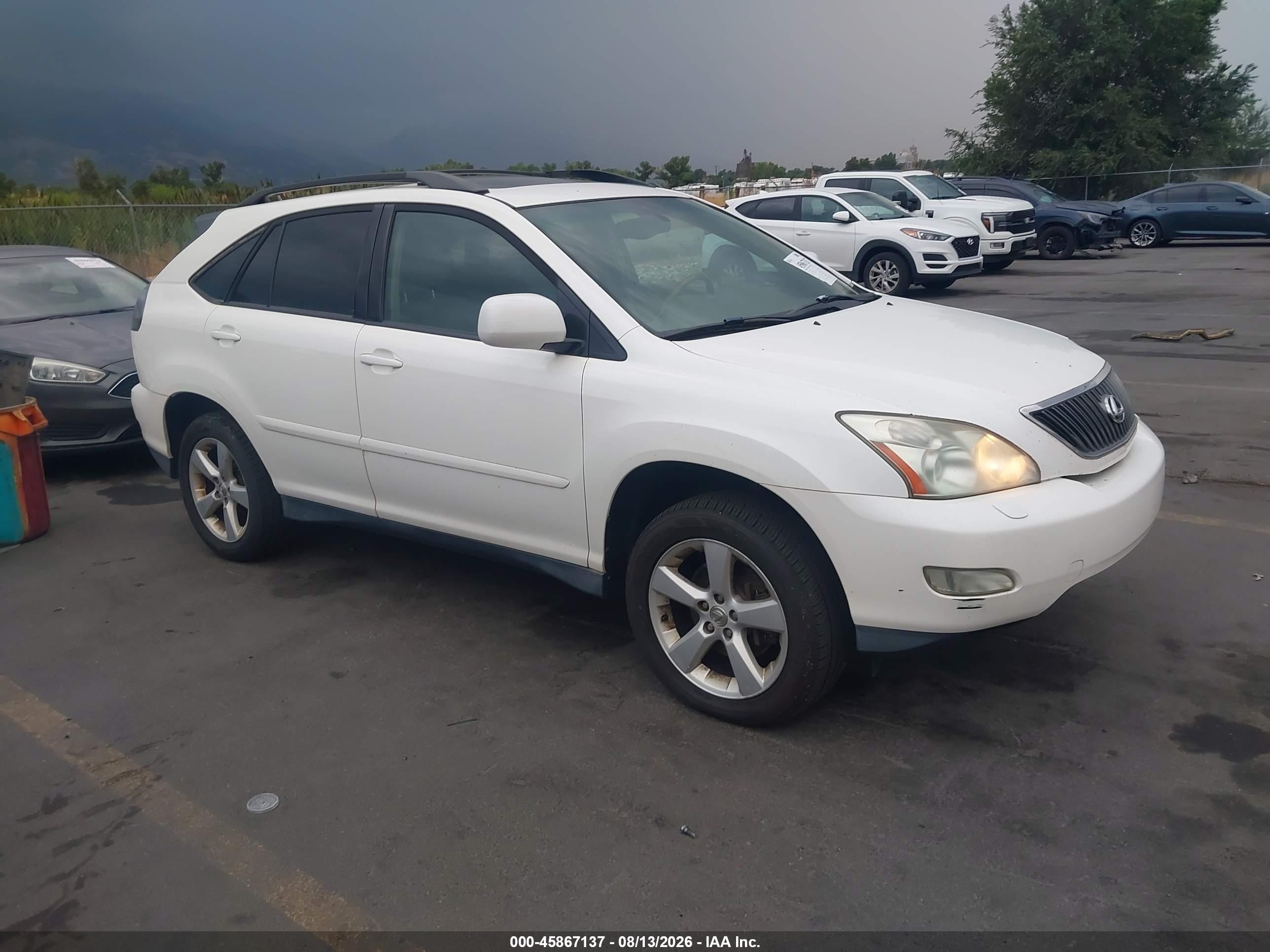 2004 Lexus RX 330, VIN 2T2HA31UX4C039012 — Normal wear